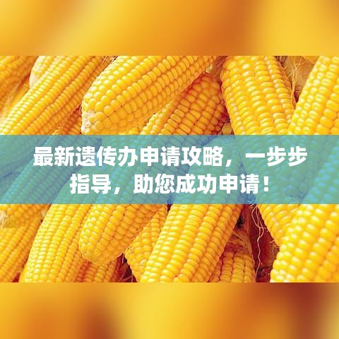 最新遺傳辦申請攻略，一步步指導(dǎo)，助您成功申請！