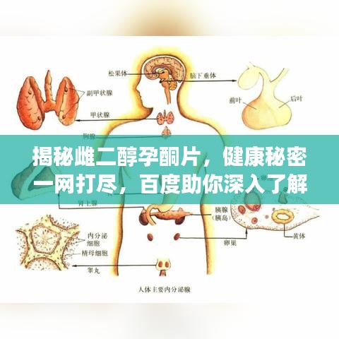 揭秘雌二醇孕酮片，健康秘密一網(wǎng)打盡，百度助你深入了解