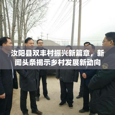汝陽(yáng)縣雙豐村振興新篇章，新聞?lì)^條揭示鄉(xiāng)村發(fā)展新動(dòng)向