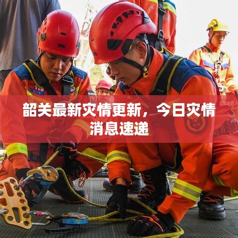 韶關最新災情更新，今日災情消息速遞