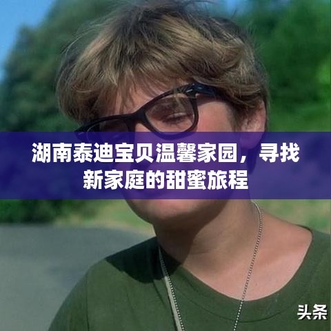 湖南泰迪寶貝溫馨家園，尋找新家庭的甜蜜旅程