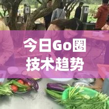 今日Go圈技術(shù)趨勢(shì)報(bào)告，應(yīng)用進(jìn)展、生態(tài)繁榮一網(wǎng)打盡！