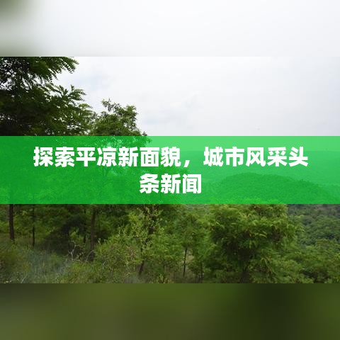 探索平?jīng)鲂旅婷玻鞘酗L(fēng)采頭條新聞