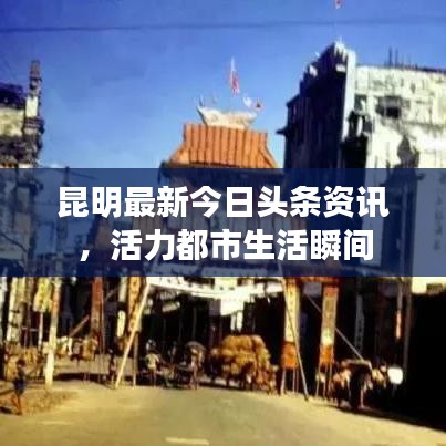 昆明最新今日頭條資訊，活力都市生活瞬間