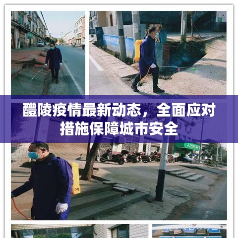 醴陵疫情最新動(dòng)態(tài)，全面應(yīng)對(duì)措施保障城市安全