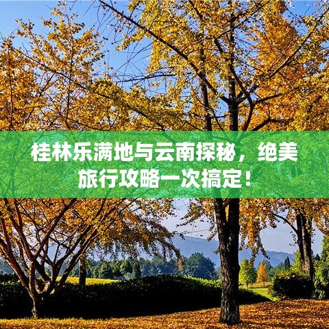 桂林樂滿地與云南探秘，絕美旅行攻略一次搞定！