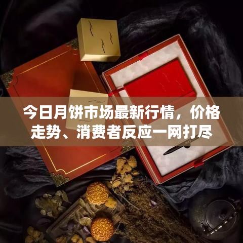 今日月餅市場最新行情，價格走勢、消費(fèi)者反應(yīng)一網(wǎng)打盡