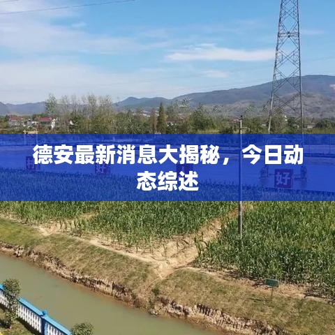 德安最新消息大揭秘，今日動(dòng)態(tài)綜述