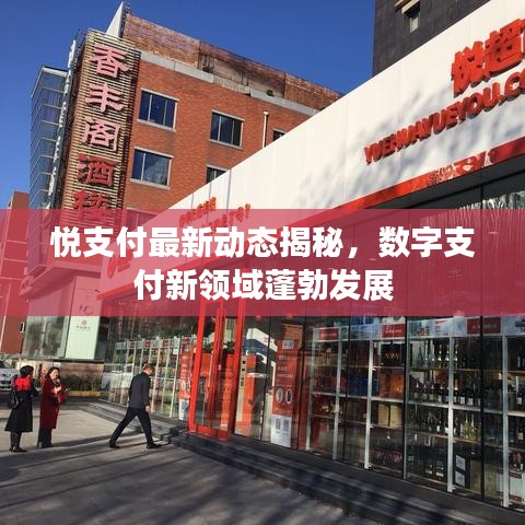 悅支付最新動態(tài)揭秘，數(shù)字支付新領(lǐng)域蓬勃發(fā)展