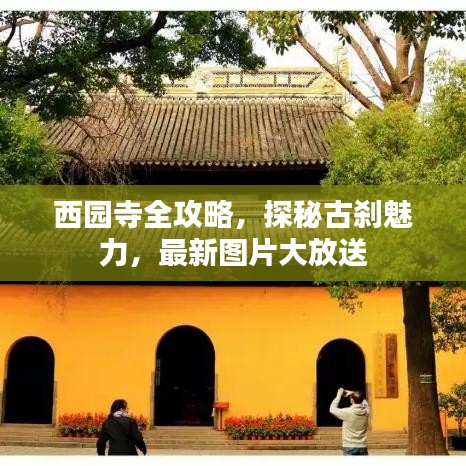 西園寺全攻略，探秘古剎魅力，最新圖片大放送