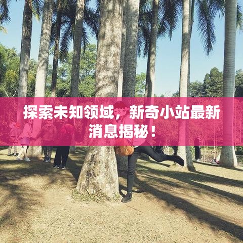 探索未知領(lǐng)域，新奇小站最新消息揭秘！