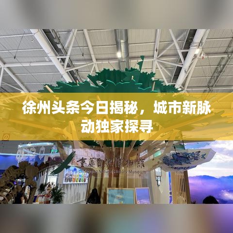 徐州頭條今日揭秘，城市新脈動獨(dú)家探尋