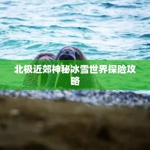 北極近郊神秘冰雪世界探險攻略