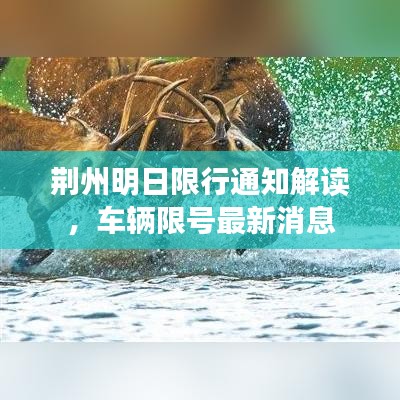 荊州明日限行通知解讀，車(chē)輛限號(hào)最新消息