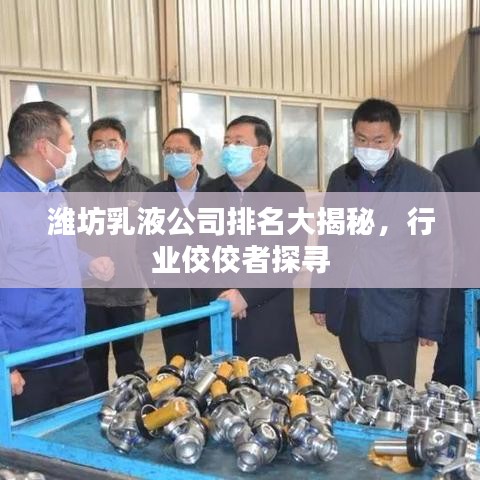 濰坊乳液公司排名大揭秘，行業(yè)佼佼者探尋