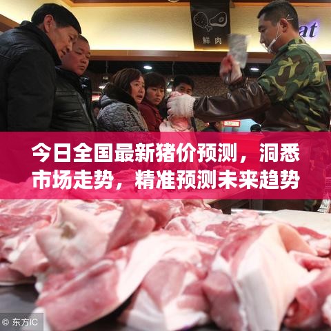 今日全國最新豬價(jià)預(yù)測，洞悉市場走勢，精準(zhǔn)預(yù)測未來趨勢