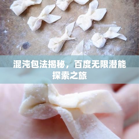 混沌包法揭秘，百度無限潛能探索之旅