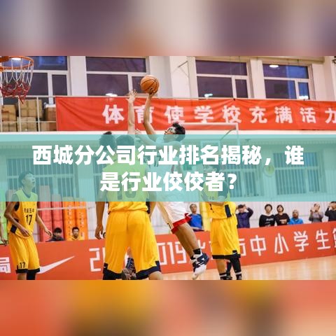 西城分公司行業(yè)排名揭秘，誰是行業(yè)佼佼者？