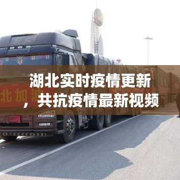 湖北實(shí)時(shí)疫情更新，共抗疫情最新視頻報(bào)道