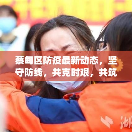 蔡甸區(qū)防疫最新動態(tài)，堅守防線，共克時艱，共筑健康防線