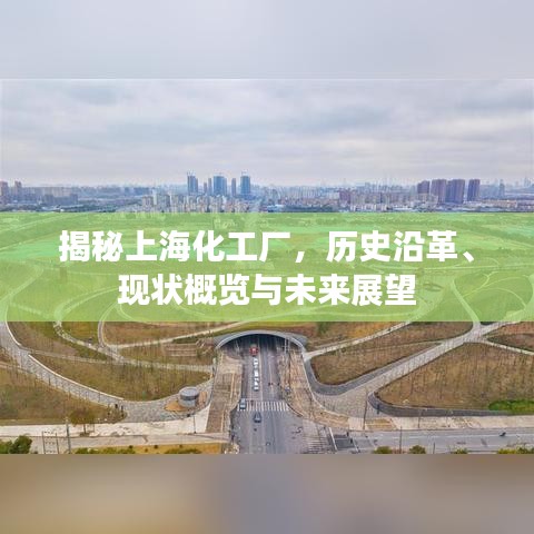 揭秘上海化工廠，歷史沿革、現(xiàn)狀概覽與未來展望