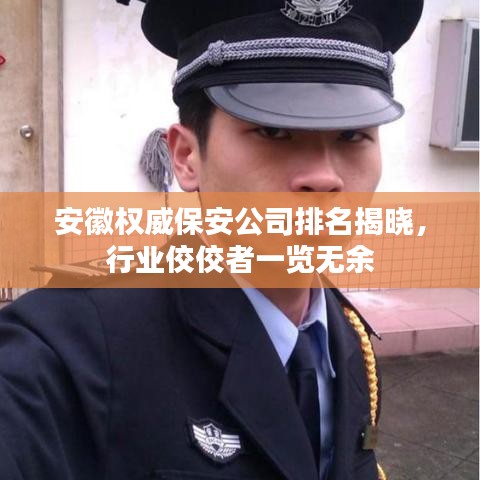 安徽權(quán)威保安公司排名揭曉，行業(yè)佼佼者一覽無余