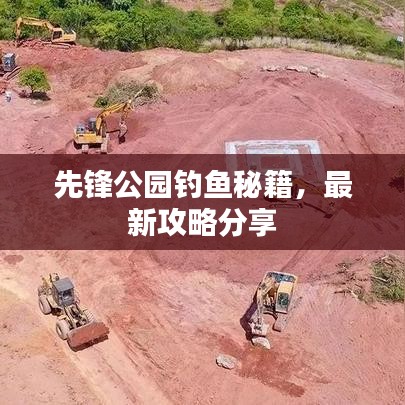 先鋒公園釣魚秘籍，最新攻略分享