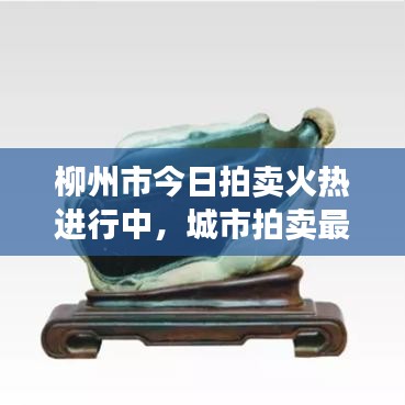 柳州市今日拍賣火熱進行中，城市拍賣最新動態(tài)搶先看！