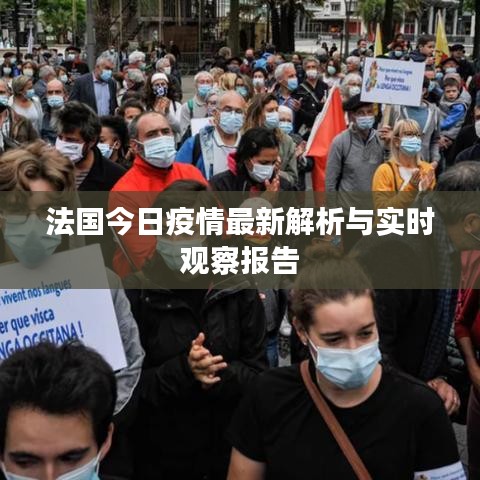 法國今日疫情最新解析與實(shí)時(shí)觀察報(bào)告