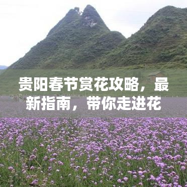 貴陽春節(jié)賞花攻略，最新指南，帶你走進(jìn)花的海洋世界
