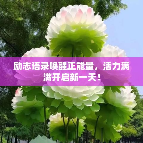 勵(lì)志語(yǔ)錄喚醒正能量，活力滿滿開(kāi)啟新一天！