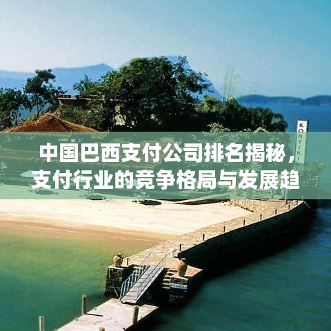 中國(guó)巴西支付公司排名揭秘，支付行業(yè)的競(jìng)爭(zhēng)格局與發(fā)展趨勢(shì)探討