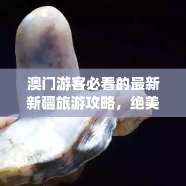 澳門游客必看的最新新疆旅游攻略，絕美路線探索新疆風采