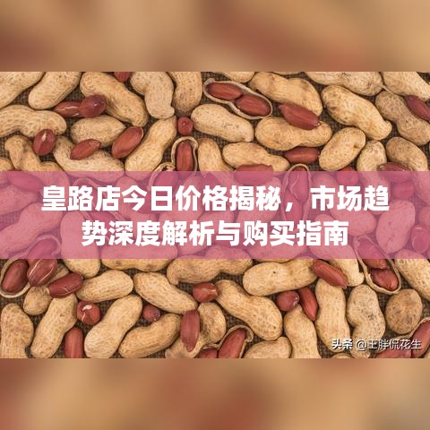 皇路店今日價(jià)格揭秘，市場(chǎng)趨勢(shì)深度解析與購(gòu)買指南