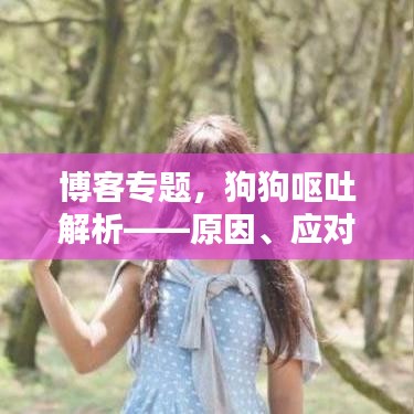 博客專題，狗狗嘔吐解析——原因、應(yīng)對措施與預(yù)防指南