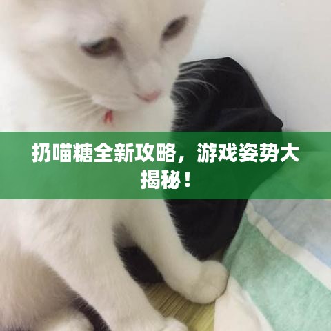束手就擒