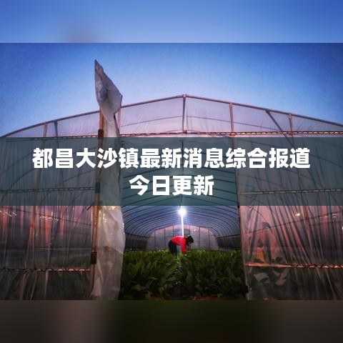 都昌大沙鎮(zhèn)最新消息綜合報(bào)道今日更新