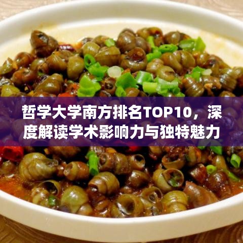 哲學(xué)大學(xué)南方排名TOP10，深度解讀學(xué)術(shù)影響力與獨(dú)特魅力