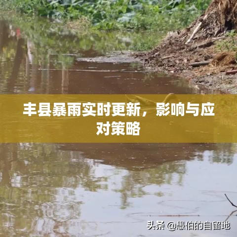 豐縣暴雨實時更新，影響與應對策略