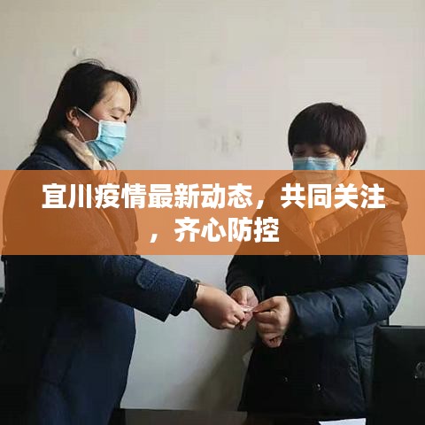 宜川疫情最新動態(tài)，共同關注，齊心防控
