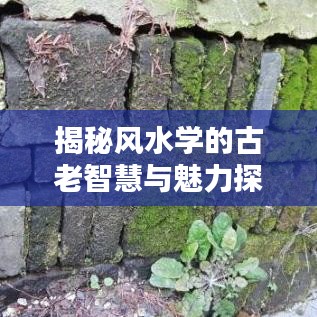 揭秘風(fēng)水學(xué)的古老智慧與魅力探索