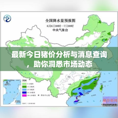最新今日豬價(jià)分析與消息查詢，助你洞悉市場(chǎng)動(dòng)態(tài)