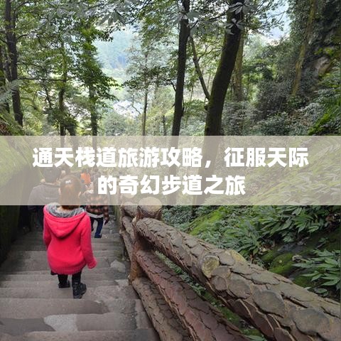 通天棧道旅游攻略，征服天際的奇幻步道之旅