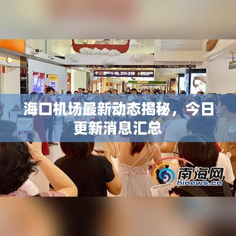 ?？跈C(jī)場(chǎng)最新動(dòng)態(tài)揭秘，今日更新消息匯總