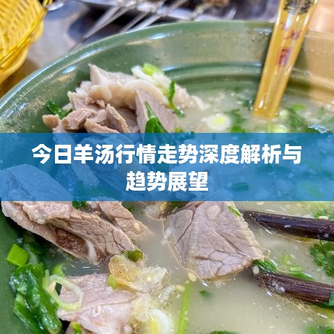 今日羊湯行情走勢(shì)深度解析與趨勢(shì)展望
