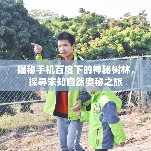 揭秘手機百度下的神秘樹林，探尋未知自然奧秘之旅