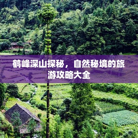鶴峰深山探秘，自然秘境的旅游攻略大全