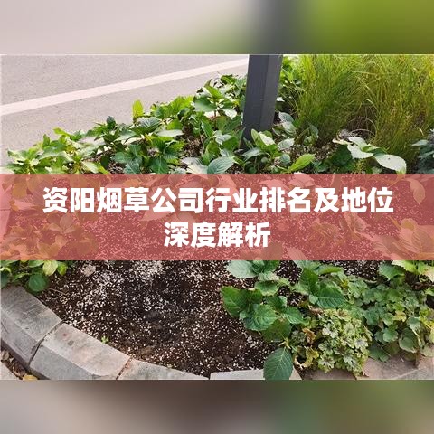 飛珠濺玉 第4頁