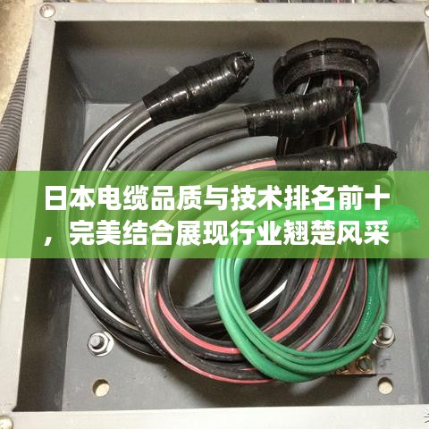 日本電纜品質(zhì)與技術(shù)排名前十，完美結(jié)合展現(xiàn)行業(yè)翹楚風(fēng)采