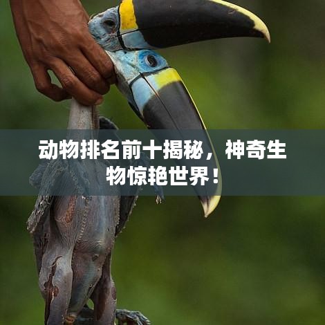 動物排名前十揭秘，神奇生物驚艷世界！